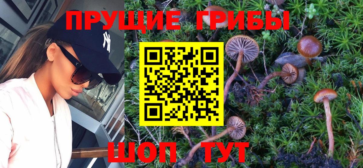 Галлюциногенные грибы GOLDEN TEACHER  Вход с VPN  Оренбург 
