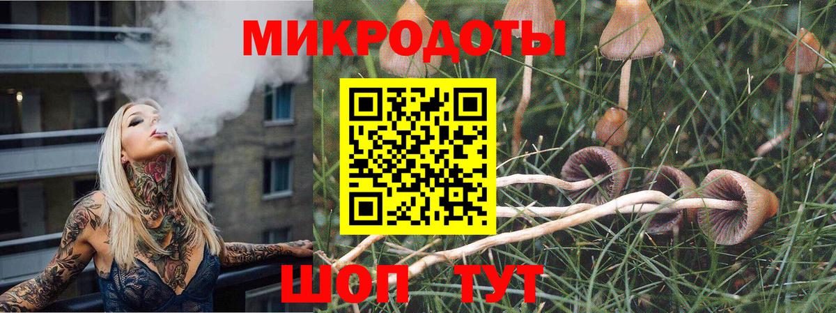 Псилоцибиновые грибы мухоморы Оренбург